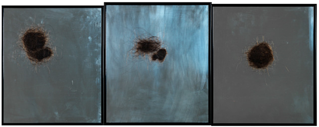 Joana Kohen, Myself as a Found Object II, 2014. Artist's Hair on Stainless Steel, 32x111cm.