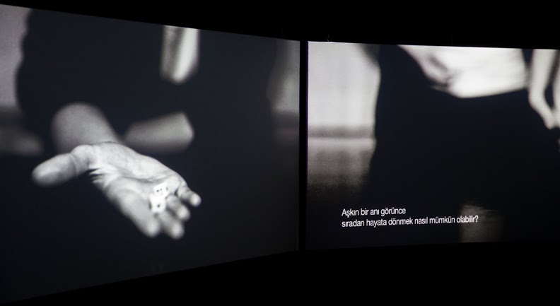 Didem Pekun ACAC SALT 201505