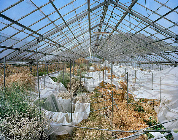 Yishay Garbasz, Greenhouse for ornamental growing, Rte 256, Harada, Okuma-machi, Futaba, Fukushima Nuclear Exclusion Zone (Ritual and Reality series), 2014. Courtesy of the artist.