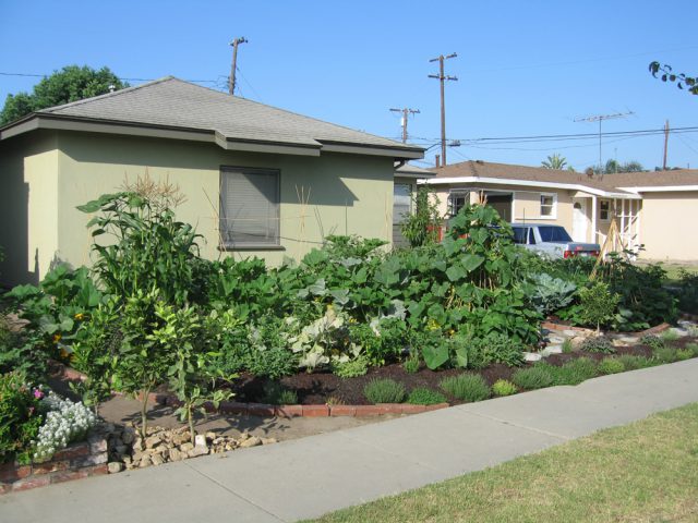 Fritz Haeg, Edible Estates, Los Angeles, 2006. Photos by Taidgh O'Niel.